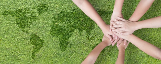 Intelecy's sustainable production commitment