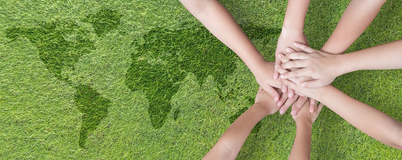 Intelecy's sustainable production commitment