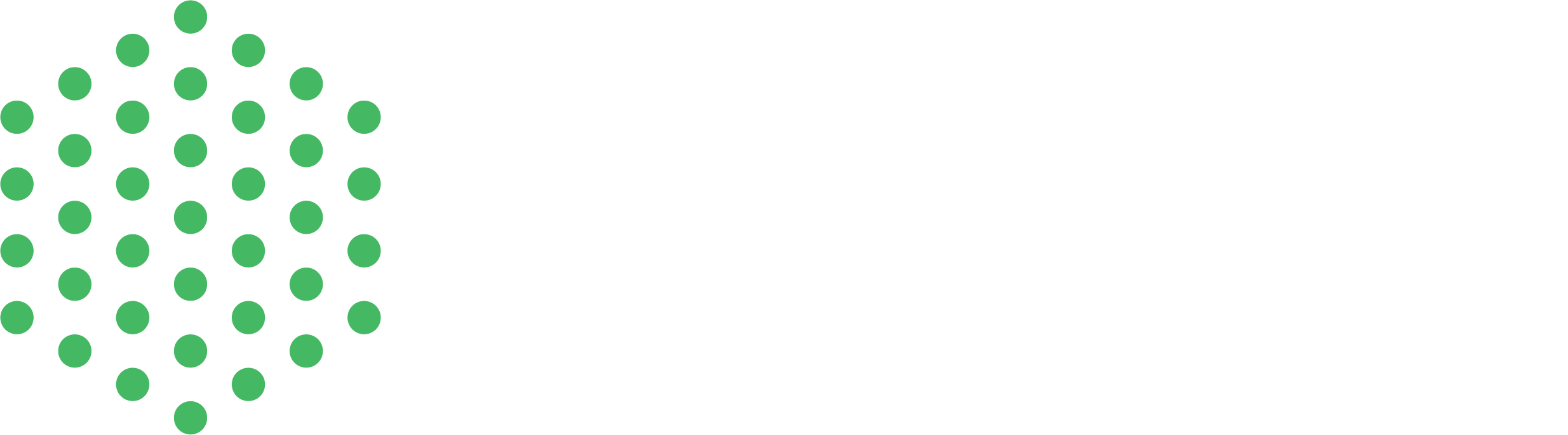 Intelecy_logoH_green_white