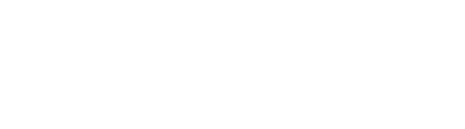 Intelecy_logo_White (2)